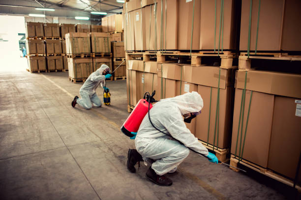 Best Termite Control Services  in Conroe, TX