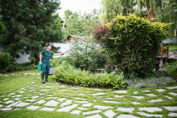 Best Affordable Pest Control Services  in Conroe, TX
