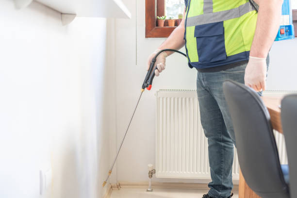 Best Mosquito Control Services  in Conroe, TX