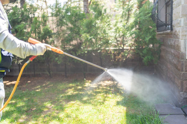 Best Residential Pest Control  in Conroe, TX