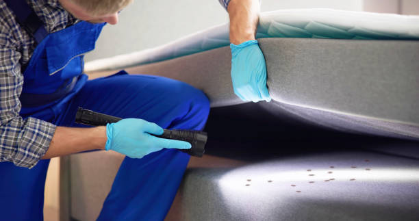 Best Commercial Pest Control Services  in Conroe, TX