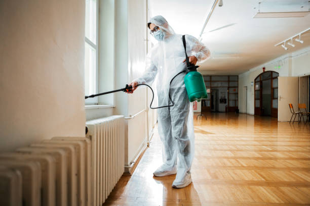 Best Rat Extermination Near Me  in Conroe, TX
